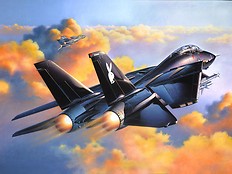 F-14A Black Tomcat