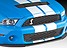 2010 Ford Shelby GT500