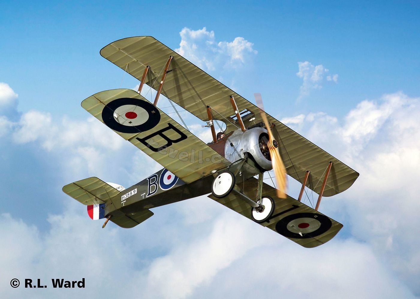 Produkt archiwalny Sopwith F.1 Camel - Modele do ...