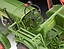 Fendt F20 Dieselroß Tractor Click-System
