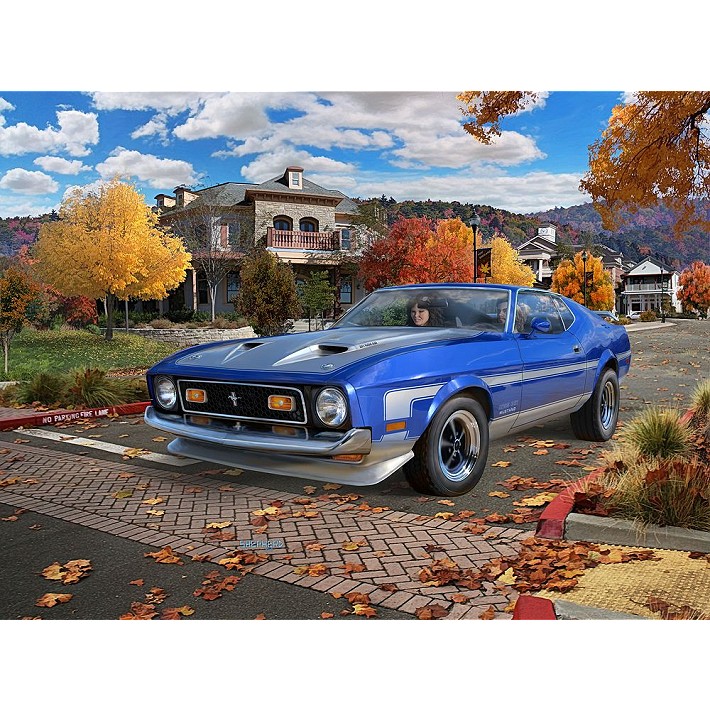 Mustang Boss 351 '71 - fot. 8