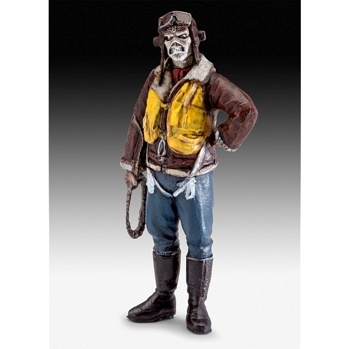 Spitfire Mk.II Aces High Iron Maiden - fot. 8