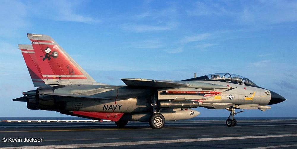 F-14D Super Tomcat - fot. 2