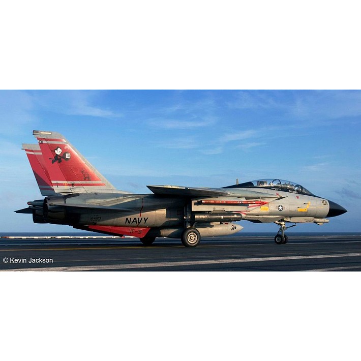 F-14D Super Tomcat - fot. 2