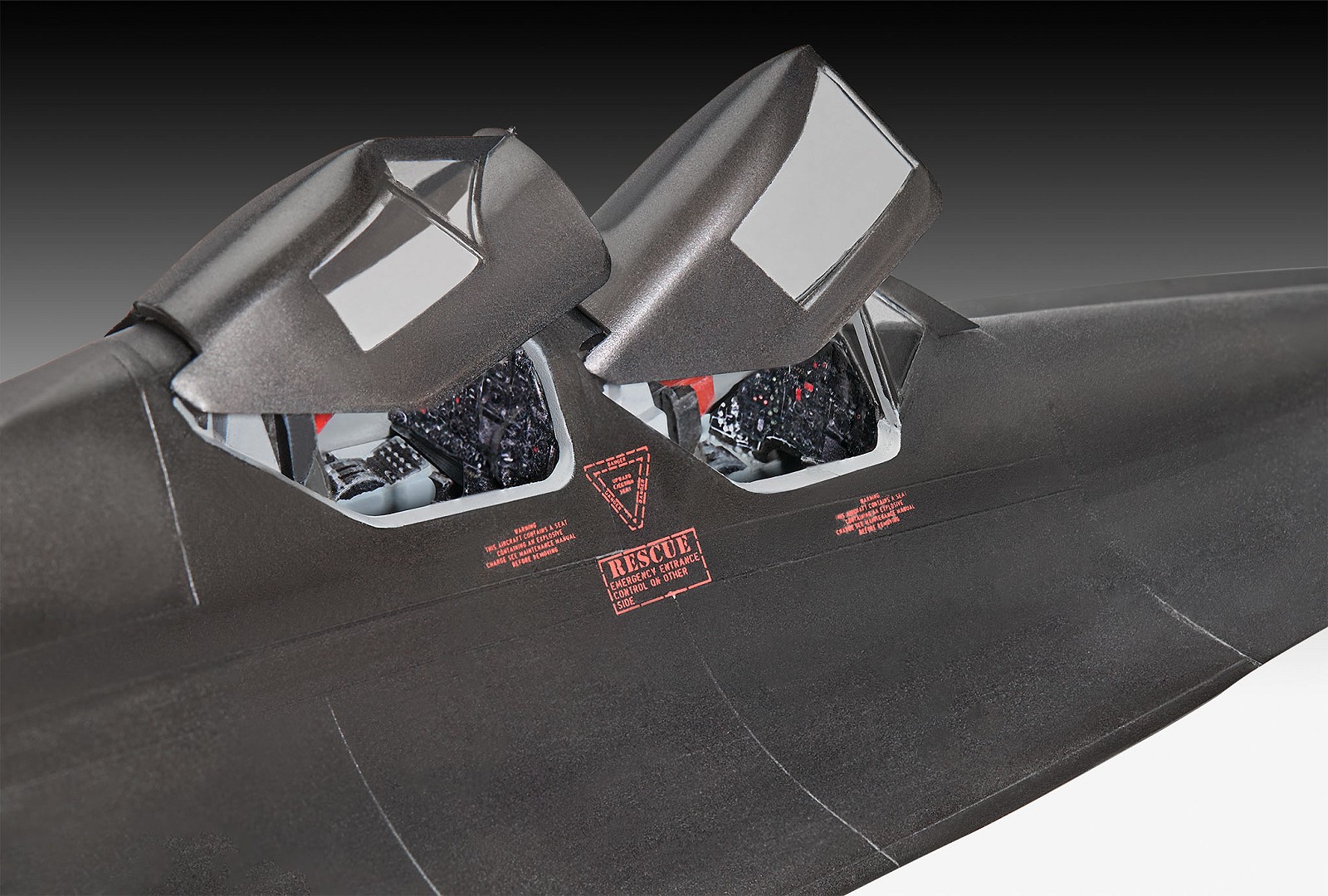 Lockheed SR-71B Blackbird - fot. 6